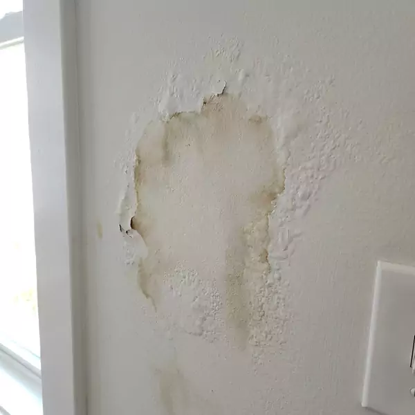 Expert Drywall Water Damage Repair in Fort Lauderdale, FL