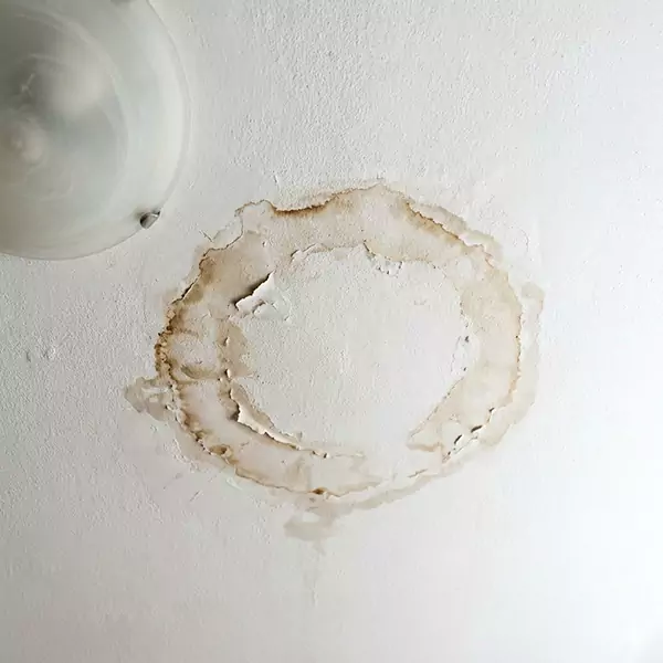 Leaking Ceiling Repair in Fort Lauderdale, FL 