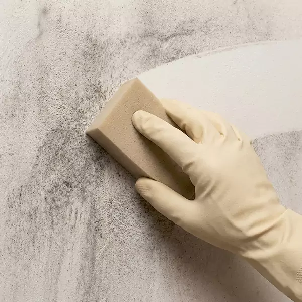 Smoke Cleaning in Fort Lauderdale, FL 