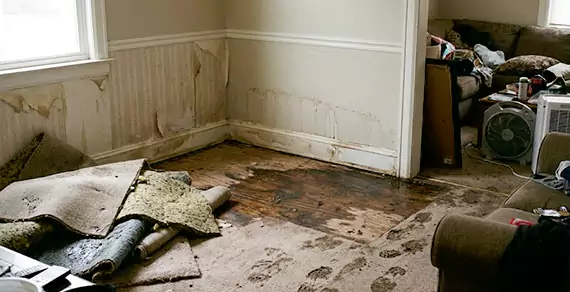 Why Choose Fort Lauderdale Water Restoration For Water Damage Restoration Services in Fort Lauderdale, FL?