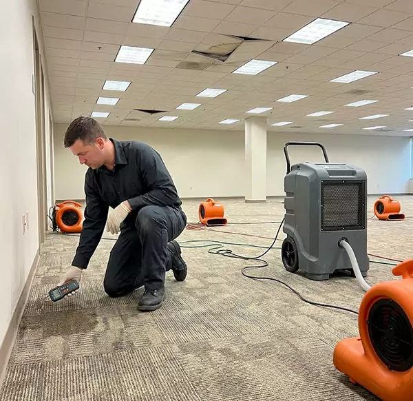 Why Businesses Choose Fort Lauderdale Water Restoration for Commercial Water Damage in Fort Lauderdale, FL?