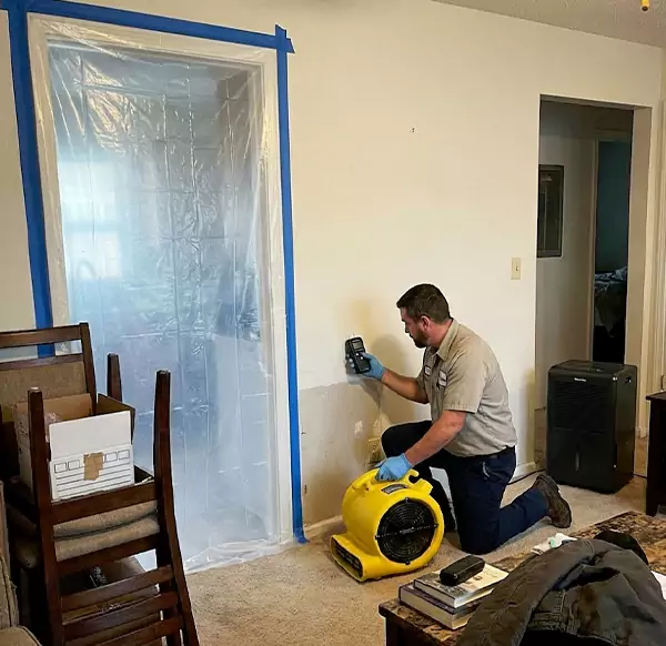 Why Homeowners & Businesses Choose Fort Lauderdale Water Restoration for Water Remediation in Fort Lauderdale, FL?